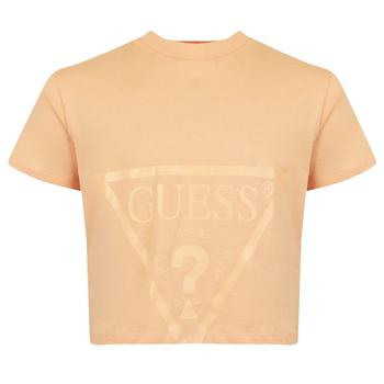 商品Orange Triangle Logo T Shirt,商家Designer Childrenswear,价格¥46图片