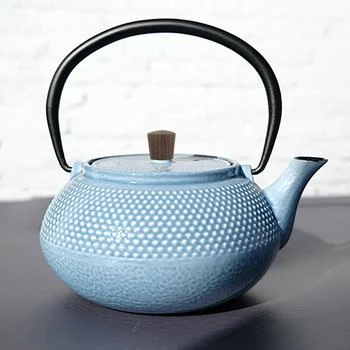 MNML | Minimal Enameled Cast Iron Teapot - Dot,商家Premium Outlets,价格¥1106
