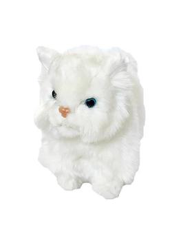 White Mini Persian Kitten product img