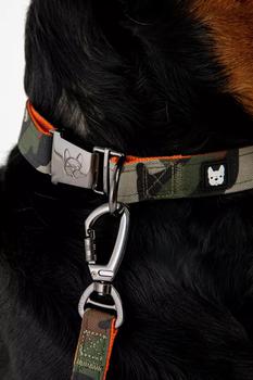 商品Silver Paw | Silver Paw Camo Dog Collar and Leash,商家Urban Outfitters,价格¥251图片
