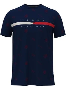 Tommy Hilfiger | Mens Cotton Logo T-Shirt,商家Premium Outlets,价格¥254