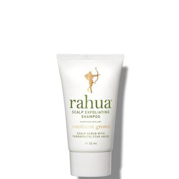 商品Rahua Scalp Exfoliating Shampoo 1 piece图片