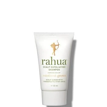 Rahua | Rahua Scalp Exfoliating Shampoo,商家Dermstore,价格¥282