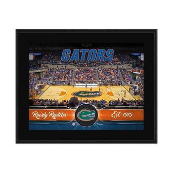 Fanatics Authentic | Florida Gators 10.5'' x 13'' Sublimated Basketball Plaque,商家Macy's,价格¥225