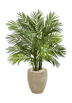 商品Areca Palm Tree in Sand Planter图片