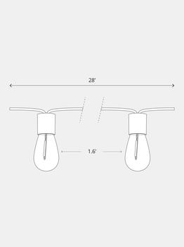 商品Brightech | Glow LED Solar String Lights,商家Premium Outlets,价格¥907图片