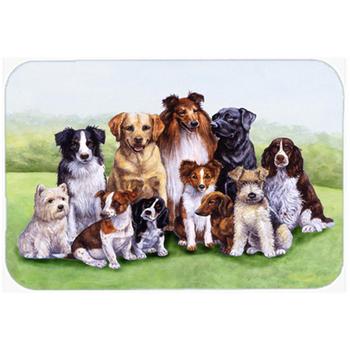 商品Caroline's Treasures | BDBA316BLCB Springtime Dogs Glass Large Cutting Board,商家Verishop,价格¥337图片