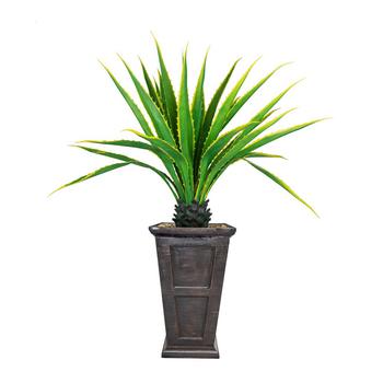 商品Vintage Home | 67" Tall Real Touch Agave Plant in Resin Planter,商家Macy's,价格¥6530图片
