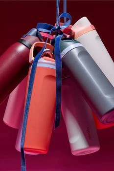 Owala品牌, 商品Owala FreeSip® Sway 30 oz Water Bottle, 价格¥259