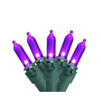 Northlight | Purple 100-Bulb LED Mini Christmas Lights 33 ft Green Wire,商家Macy's,价格¥300