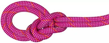 Mammut | Mammut 9.5 Crag Dry Rope,商家Dick's Sporting Goods,价格¥2060