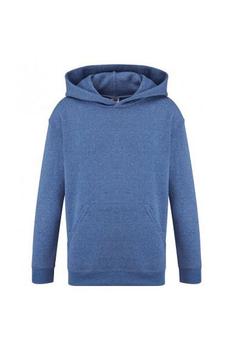 推荐Fruit of the Loom Childrens/Kids Classic Hooded Sweatshirt (Heather Royal)商品