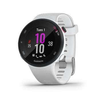 推荐Garmin Forerunner 45S商品