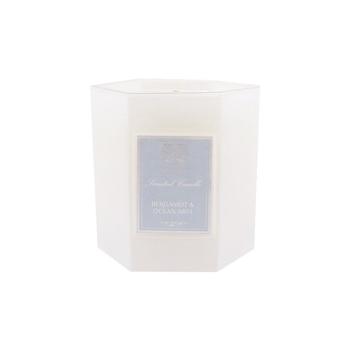 雪茄海淘, Antica Farmacista | Antica Farmacista 蜡烛 -  佛手柑 & 海洋调商品图片 额外8.2折x额外9折, 额外八二折, 额外九折