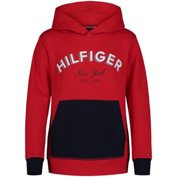 商品Tommy Hilfiger | Little Boys Triple Hilfiger Pullover Hoodie,商家Macy's,价格¥342图片