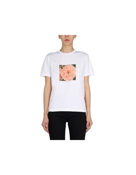萨克斯直邮, Paul Smith 保罗·史密斯 | Daisy T-Shirt商品图片 5.3折