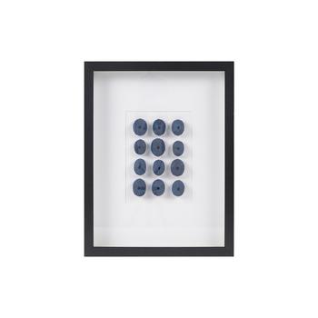 Martha Stewart | Shells Real Natural Sea Urchin Framed Shadowbox商品图片,额外7折, 额外七折