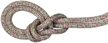 Mammut | Mammut 9.5 Crag We Care Classic Rope,商家Dick's Sporting Goods,价格¥906