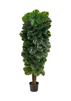 NEARLY NATURAL, NEARLY NATURAL | 70in. Monstera Artificial Tree (Indoor/Outdoor)商品图片 