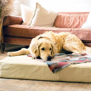 商品Le Bed Leather Dog Bed In Bone MEDIUM: 33"X25”6”图片