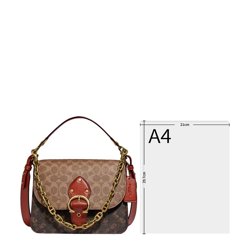 更多yee si, Coach | Coach(专柜) 女士单肩包拼色 C2418B4SI0商品图片 独家减免邮费