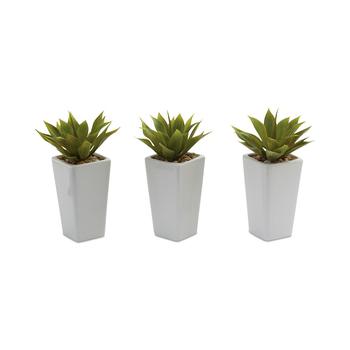 商品NEARLY NATURAL | 3-Pc. Mini Agave Artificial Plant Set in White Planters,商家Macy's,价格¥530图片
