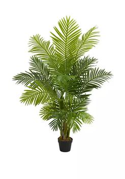 NEARLY NATURAL, NEARLY NATURAL | 5 Foot Hawaii Palm Artificial Tree商品图片 