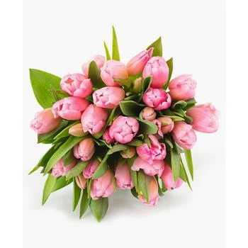 BloomsyBox | Princess Tulip Fresh Flower Bouquet,商家Macy's,价格¥484