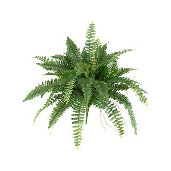 NEARLY NATURAL, NEARLY NATURAL | 40" Boston Fern, Set of 2商品图片 6.9折