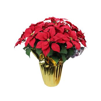 商品Northlight | Red Artificial Christmas Poinsettia with Gold Tone Wrapped Pot,商家Macy's,价格¥892图片