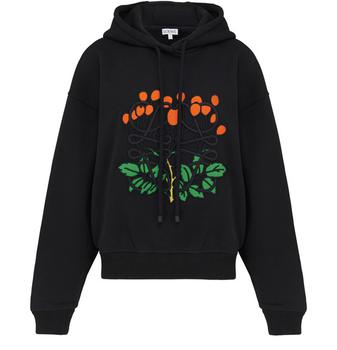 罗意威卫衣, Loewe | Herbarium 连帽运动衫商品图片 包邮包税