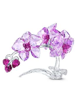 商品Swarovski | Crystal Flowers Orchid,商家Saks Fifth Avenue,价格¥4154图片