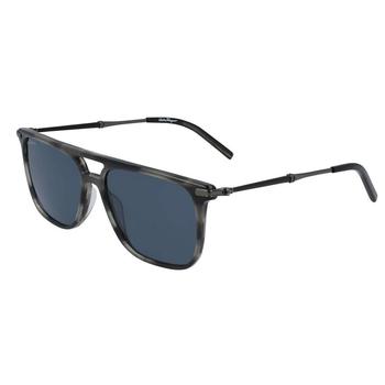 商品Salvatore Ferragamo | Ferragamo Fashion   太阳镜,商家Ashford,价格¥428图片