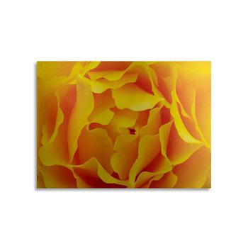 商品Kurt Shaffer Hypnotic Yellow Rose By Kurt Shaffer Floating Brushed Aluminum Art - 22" x 25"图片