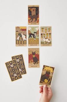 Urban Outfitters | Cats Rule The Earth Tarot: 78-Card Deck And Guidebook For The Feline-Obsessed By Catherine Davidson商品图片,1件9.5折, 一件九五折