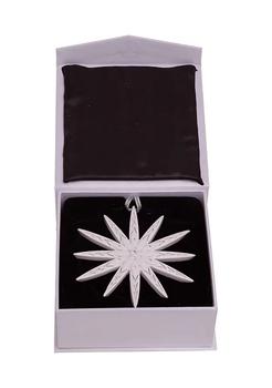 商品4-Inch Modern Snowflake Ornament with Swarovski Elements,商家Belk,价格¥1173图片