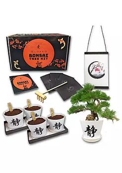 商品Loako | Bonsai Tree Seed Starter Kit - Complete Growing Kit - Grow 4 Bonsai Tree Live Indoor from Seed - Indoor Garden - Grow Your Own Live Plant - Great Gardening Gifts Idea…,商家Belk,价格¥218图片