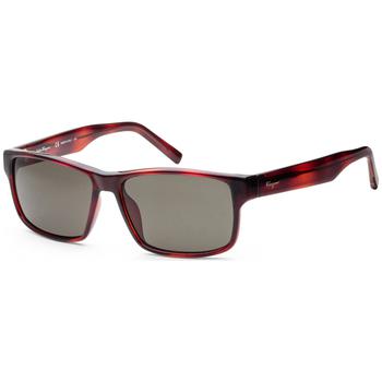 推荐Ferragamo Women's SF960S-214 Tortoise Sunglasses商品
