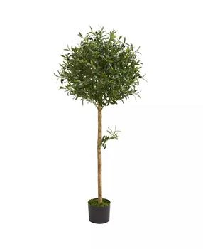 NEARLY NATURAL | 5' Olive Topiary Artificial Tree,商家Macy's,价格¥1122