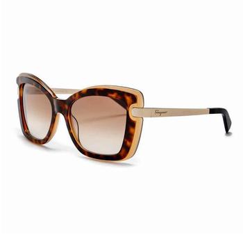 更多菲拉格慕墨镜, Salvatore Ferragamo | Sf814s-226-54 Havana Amber Sunglasses商品图片 额外8折, 额外八折