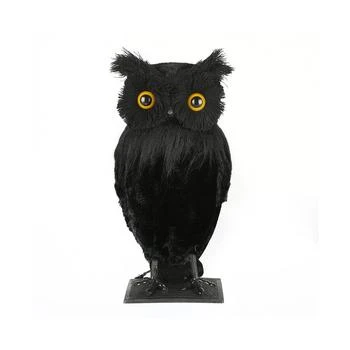National Tree Company | 11" Eerie Eyes Owl,商家Macy's,价格¥704