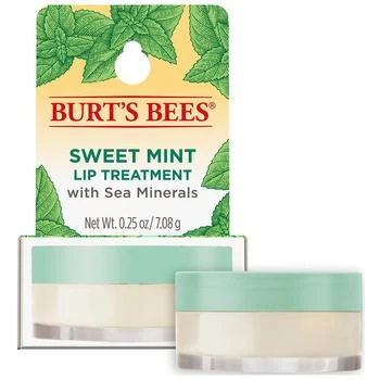 Burt's Bees | 100% Natural Origin Lip Treatment with Sea Minerals Sweet Mint 