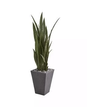 NEARLY NATURAL | 57” Sansevieria Artificial Plant in Slate Planter,商家Macy's,价格¥2184