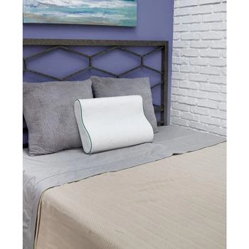 BioPEDIC | Fresh and Clean Classic Contour Memory Foam Pillow with Ultra-Fresh Treated Fabric,商家Macy's,价格¥426