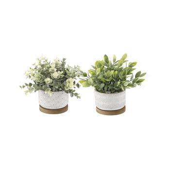商品Flora Bunda | Eucalyptus Tea Leaf in Base Pot Set, 2 Piece,商家Macy's,价格¥323图片