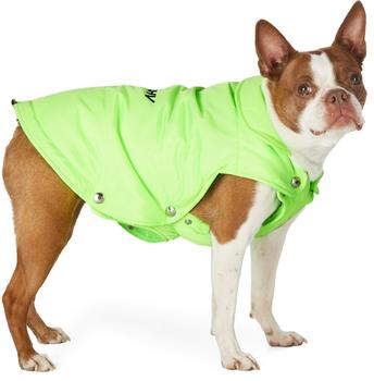 商品绿色填充宠物夹克,商家SSENSE CN,价格¥2300图片