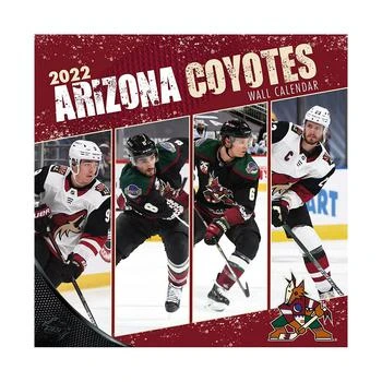 Turner Licensing | Arizona Coyotes 2022 Wall Calendar,商家Macy's,价格¥133