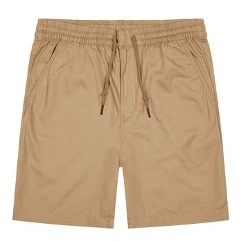 推荐Patagonia Shorts Hemp Volley Shorts 7 Inch - Stone商品