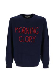 推荐Morning Glory knit jumper商品