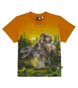 推荐x Jurassic World Roxo棉质T恤商品